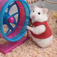 Chalecos de sujeción cálidos para pequeños roedores - Hamsters, osos de peluche y ardillas, equipo para exteriores, suministros para mascotas, accesorios y ropa para animales pequeños - Multicolor - Ver 16
