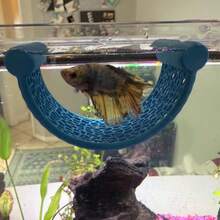 Floating Fish Hammock - Low Flow Aquarium Rest Platform, Non-Slip Surface, Natural PVC Material Fish Bed, Suitable For Betta, Shrimp Habitat And Small Fish Decoration, Durable Freshwater Aquarium Accessory, Floating Betta Hammock, Betta Breeding Rest Bed, Betta Tank Decor - Fish Hammock - View 3