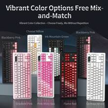 AJAZZ MK87 无线机械键盘，TKL 布局，3 种模式，10000mAh 电池，持久续航，RGB 灯效可自定义，87 键，适用于办公、游戏，兼容多种系统 - 彩色 - 查看 3