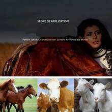 1把宠物美容刷 - 狗狗脱毛稀疏工具，去毛清洁梳 - 彩色 - 查看 7