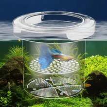 1PC Acrylic Floating Fish Breeding Isolation Box Aquarium Breeder Feeder Transparent Isolation Box Aquarium Hatchery Accessory - Multicolor - View 3