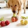Pet Toys
