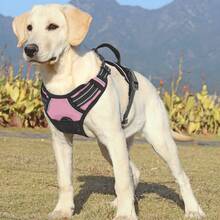 Reflective Dog Harness, No Pull Vest Harness With Handle, Adjustable Soft Padded Pet Harness For Large Dogs - 粉色 - 查看 2