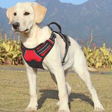 Reflective Dog Harness, No Pull Vest Harness With Handle, Adjustable Soft Padded Pet Harness For Large Dogs - 紅色 - 查看 2