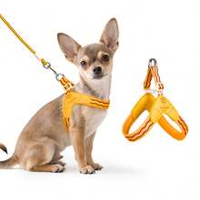 Spring New Dog Harness With Leash, Anti-Pull Dog Chest Harness With Breathable Padding And Escape-Proof Design, Quick Adjust For Dog Training And Walking, Pet Supplies, Pet Outdoor Leash Set - Multicolor - View 4