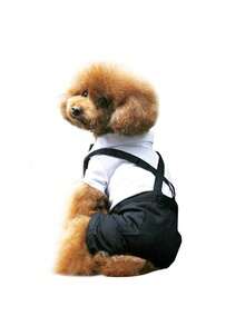 1件宠物狗/猫西装/衬衫/礼服/四脚服装/婚礼庆典/时尚气质 - 彩色 - 查看 11