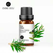 EVOKE OCCU 茶树精油，纯天然茶树精油，适用于护发、头皮按摩、身体香薰、空气净化、蜡烛和肥皂制作，添加到洗发水和护发素中可增加头发光泽 - 100毫升/30毫升/10毫升 - Tea tree - 查看 8