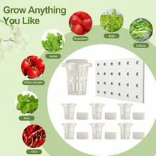 1 Set Hydroponic Germination Kit 24 Pcs Hydroponic Net Pots 24 Pcs Hydroponic Sponge And 1 Pc Hydroponic Planting Board For Soilless Cultivation Garden And Transplanting Plastic Flower Starter Pots Herbs Hydroponic Growing System - A - View 7