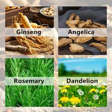 人参天竺葵滋养保湿面霜，有助于减少皱纹，提亮肤色，护肤保湿霜 - 1個 - 查看 3