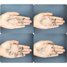 8pcs/Set Stainless Steel Ocean Creature Cookie Cutter Set, For Holiday Baking - Silver - View 7