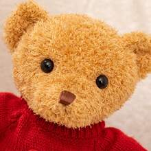 可爱泰迪熊毛绒娃娃，治愈天使泰迪熊娃娃，情人节礼物，柔软毛绒娃娃，拥抱熊，卡通泰迪熊毛绒娃娃抱枕，少女拍照道具，儿童礼物，女友生日和情人节礼物 - 彩色 - 查看 5