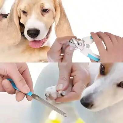Cortaúñas profesional para mascotas, cortaúñas de acero inoxidable para perros y gatos, 2 colores, cortaúñas sin esfuerzo, suministros de aseo para mascotas, color aleatorio