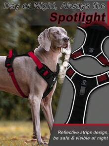防拉中型狗背带、带 2 个皮带夹的反光背心式狗背带、带环板的可调节宠物背带、带易控制手柄的狗背带 - 彩色 - 查看 9