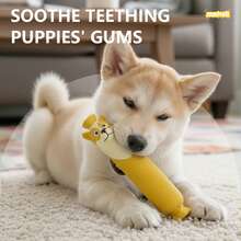 1个2026新款腊肠犬乳胶咀嚼玩具，互动式洁牙宠物玩具，送给男孩、女孩、朋友的完美礼物，生日、派对适用 - 彩色 - 查看 8