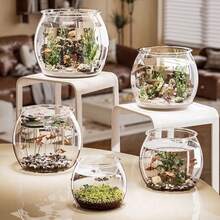 Round Fish Tank Clear Beta Fish Aquariums Home Decoration Compact Aquatic Animal Container For Ornamental Fish Tabletop Tank - Multicolor - View 2