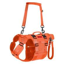 zxxOneTigris Arnes de Soporte para Perros Grandes - Arnes de Cadera con Asas Caleco Multifuncional de stencia para Molidad y Soporte de Patas Traserasperro trepa escalera - Naranja - Ver 1