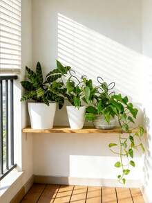 植物攀爬架，户外盆栽植物攀爬支撑架，多层花卉植物支架，适用于攀援藤蔓、爪兰、虎皮百合等室内/室外植物，创意固定杆植物支架，家居装饰，园艺用品 - A - 查看 4