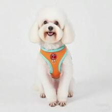 Spring & Summer New Dopamine Color Block Dog Harness, Cute Cat & Dog Leash Harness, Reflective Breathable Mesh Vest Harness Suitable For Small & Medium Dogs - Green - View 7