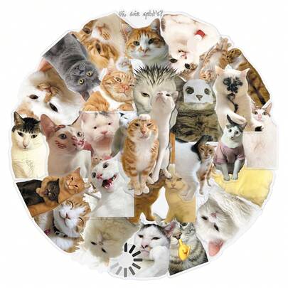 50PCS Cute Cat Transparency Graffiti Stickers Kawaii Animal Meme Cartoon Decal DIY Luggage Phone Guitar Scraphbook Party Gifts