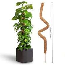 柔軟苔蘚椰殼攀爬桿 植物攀爬支撐 延長桿 棕櫚藤 適用於室內陽台花園庭院花卉裝飾 - 1Pc - 查看 9