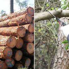 Pocket Chainsaw 24 Inches 34 Sections 11 Knives Portable Folding Chainsaw for Wood Cutting Camping Hunting Garden Work - Motosierra de bolsillo - Ver 4