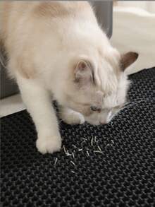 1pc Double-Layer EVA Cat Litter Mat, Washable Anti-Tracking Anti-Splash Cat Litter Box Mat, Cat Supplies - Multicolor - View 13