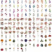 150张复古浪漫花叶图案透明2D贴纸，可用于圣诞节、新年、文具、书籍、杯子、行李箱、吉他、头盔等DIY装饰。也可用于剪贴簿，趣味贴纸，Kindle适用。 - G - 查看 4