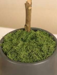 Lumut Buatan, Lumut Hijau Palsu Bionik, Dekorasi Lanskap Mikro, Tanaman Pot Bonsai Rumput, Material Lanskap - lumut - View 4