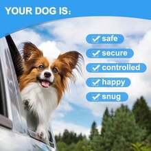 狗狗车载安全带、狗狗安全座椅、双扣安全带牵引绳、防啃咬安全带、狗狗配件 - 彩色 - 查看 9