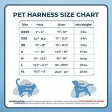 Stepin Air Dog Harness All Weather Mesh, Step In Vest Harness For Small And Medium Dogs By ... - SChest14516HarnessBa - View 6