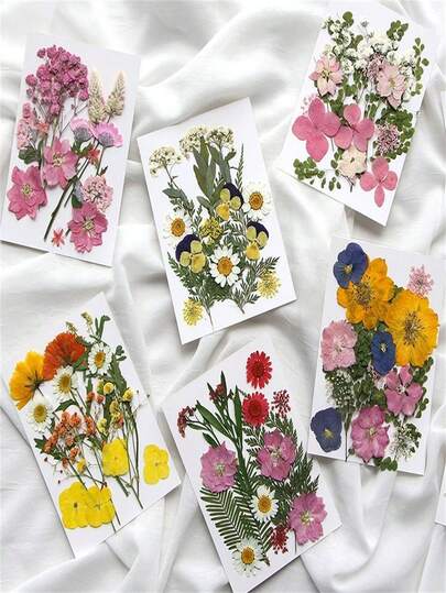 干花DIY材料剪贴簿系列，压花胶相框书签，天然真花植物标本压花用品