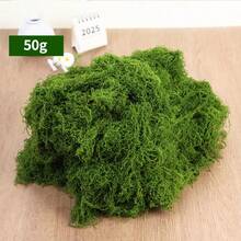 1包100克人造苔藓，仿真苔藓，适用于家居装饰、微缩景观、草坪微景观、盆栽植物和景观装饰，也适用于情人节、婚礼、生日派对装饰。 - 仿真苔蘚 - 查看 10