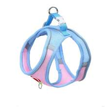 Bộ dây đeo cho chó Dopamine phối màu mới mùa xuân hè, dây đeo dễ thương cho mèo và chó, áo vest lưới thoáng khí phản quang phù hợp cho chó nhỏ và vừa. - Màu xanh lam - Xem 11
