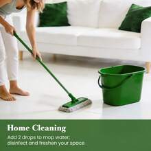 EVOKE OCCU Eucalyptus Essential Oil, Fresh Herbal Scent, 100mL/30mL/10mL For Relaxing Cleaning Diffuser Purifier Humidifier Skin Care Spa Candle Soap Making Hair Care Massage - Eucalyptus - View 3