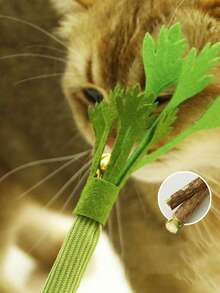 1pc Pesian Cat Mint Toy, Scallion, Cilantro, Carrot Cat Toy, Realistic Vegetable Chew Toy For Self-Play And Teeth Grinding, Pet Toy - Multicolor - View 5