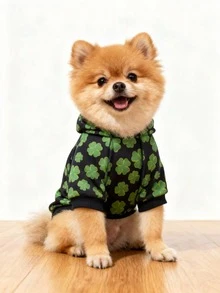 LUCKIE LABO Áo hoodie thời trang thường ngày in hình cỏ ba lá và đồng xu ngày lễ Thánh Patrick, thích hợp cho chó và mèo nhỏ mặc trong nhà/ngoài trời. - màu đen - Xem 5