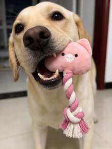 1个狗狗磨牙绳打结玩具，带吱吱声的狗狗玩具球，狗狗磨牙绳，宠物磨牙玩具，牙齿清洁互动游戏，狗狗和猫咪减压礼物，宠物用品 - 彩色 - 查看 7