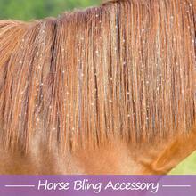 12pcs Shiny Multicolor Horse Hair Decoration Set, Colorful Sequins For Horse Mane And Tail, Easy-To-Apply Horse Grooming And Costume Accessory, Photography Prop, Suitable For Performance, Photography, Masquerade And Other Occasions - Multicolor - View 2