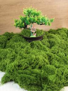 1包100克人造苔藓，仿真苔藓，适用于家居装饰、微缩景观、草坪微景观、盆栽植物和景观装饰，也适用于情人节、婚礼、生日派对装饰。 - 仿真苔蘚 - 查看 2