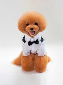 1件宠物狗/猫西装/衬衫/礼服/四脚服装/婚礼庆典/时尚气质 - 彩色 - 查看 5