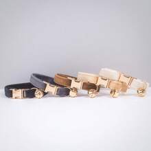 Adjustable Cat Collar With Bell And Quick Release Buckle. Soft And Durable, Available In Multiple Sizes. Safely Identify Your Pet. Fashionable Pet Accessory. High-Quality Metal Hardware. Suitable For Small, Medium And Large Dogs. Zinc Alloy Design For Durability. Easy To Open And Close. Premium Dog Collar. (Actual Delivery May Vary Slightly Due To Differences In Fabric, Batch, And Color.) - Multicolor - View 2