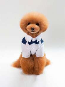 1件宠物狗/猫西装/衬衫/礼服/四脚服装/婚礼庆典/时尚气质 - 彩色 - 查看 3