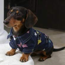 1pc Pet Clothes, Star Denim Effect Shirt, Colorful Star Denim Effect, Casual Stylish Fashion, Personalized, Suitable For Medium/Small Dogs Like Teddy, Poodle, Corgi, Dachshund, Anti-Shedding, Unique Design - Blue - View 6