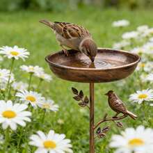 Vintage Iron Bird Branch Bird Bath, Bird Bathing Bowl, New Year, Valentine's Day Garden Decor, Outdoor Bird Feeder, Gift For Family And Friends - Multicolor - View 11