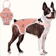 Pañales de perro lavables - Pantalones sanitarios reutilizables para perros, ajustables, diseño de malla transpirable, ajuste cómodo, adecuados para perros de varios tamaños y razas durante el celo - Multicolor - Ver 9