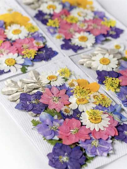 Handmade Colorful Glass Glue Dried Flower DIY Kit, Makeup Styling Personal Portrait Face Makeup, Real Flower Plant Specimen