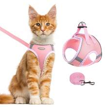 2pcs Dog Harness, Soft Breathable Pet Vest Harness For Small/Medium Dogs And Cats - Multicolor - View 11