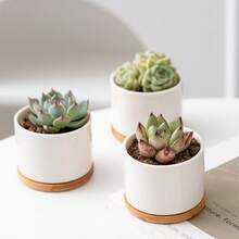 Ceramic Garden Planter Pots Ceramic Plant Pots With Drainage Holes Design For Windowsills Shelves Gardens And Patios - A - View 9