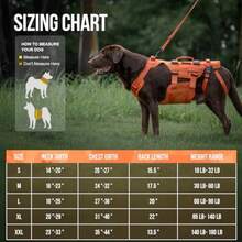 zxxOneTigris Arnes de Soporte para Perros Grandes - Arnes de Cadera con Asas Caleco Multifuncional de stencia para Molidad y Soporte de Patas Traserasperro trepa escalera - Naranja - Ver 6