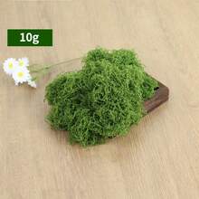 1包100克人造苔藓，仿真苔藓，适用于家居装饰、微缩景观、草坪微景观、盆栽植物和景观装饰，也适用于情人节、婚礼、生日派对装饰。 - 仿真苔蘚 - 查看 11